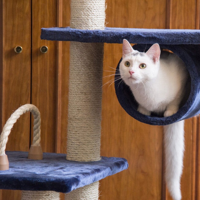 Real Wood 71 inches Cat Climbing Furniture Tower, , alternate image number 3