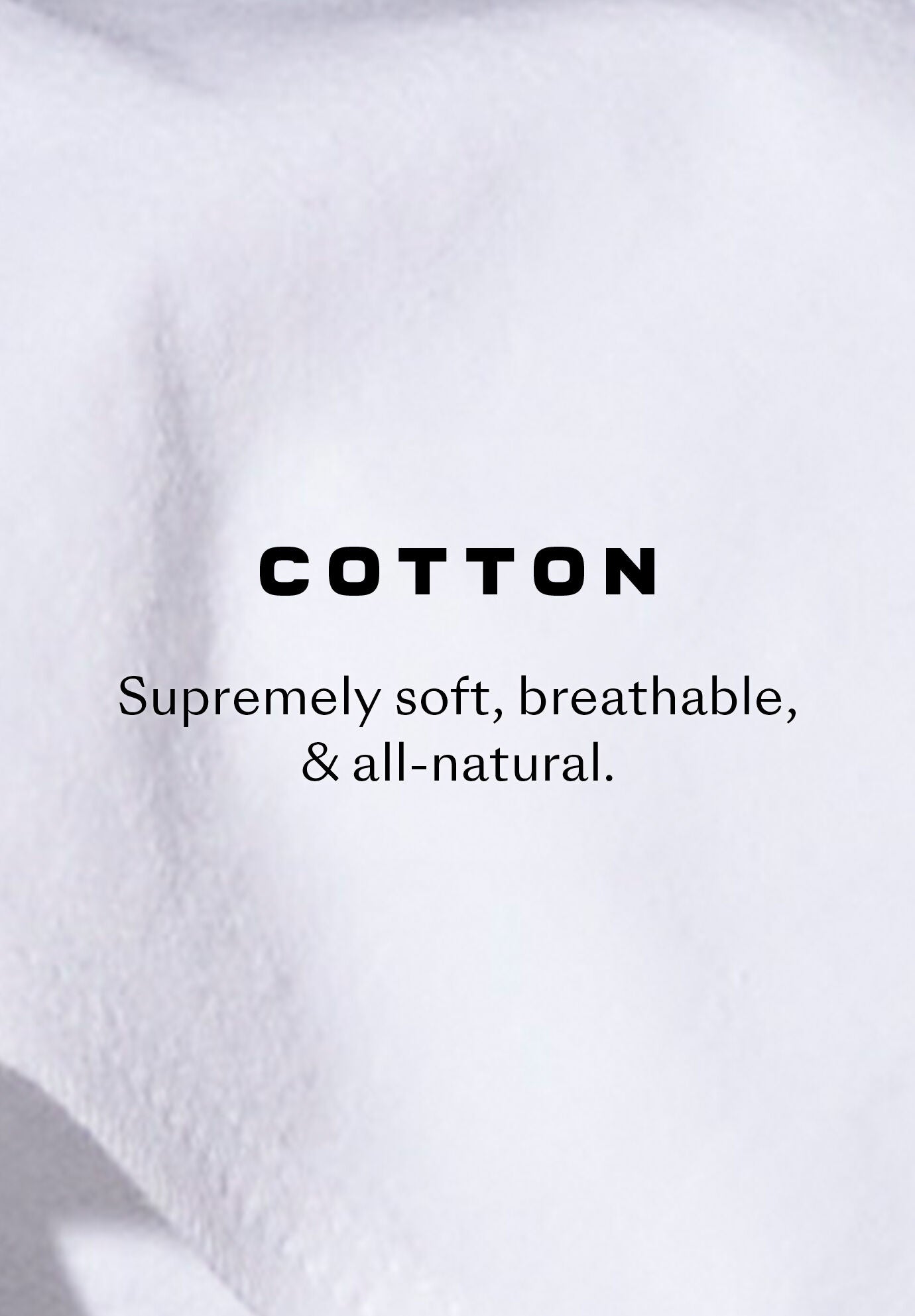The Thong- Cotton, SALT, alternate image number 4