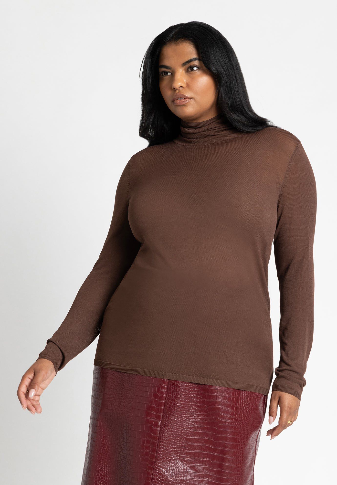 Sheer Lightweight Turtleneck Sweater