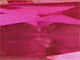 Priya Birthstone Tennis Bracelet, JULY, alternate image number 2