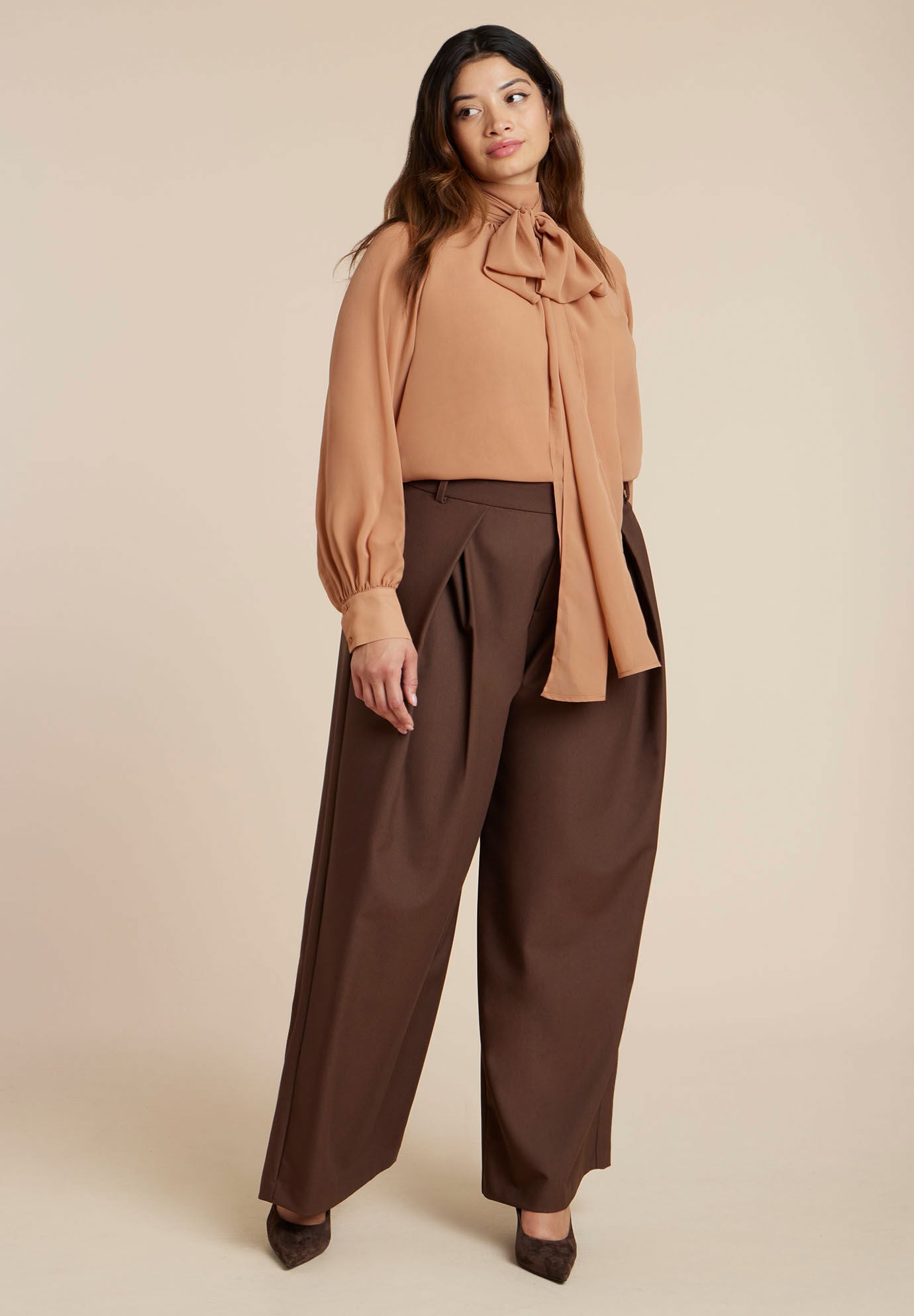 Sheer Neck Tie Blouse, APPLE CINNAMON, alternate image number 2