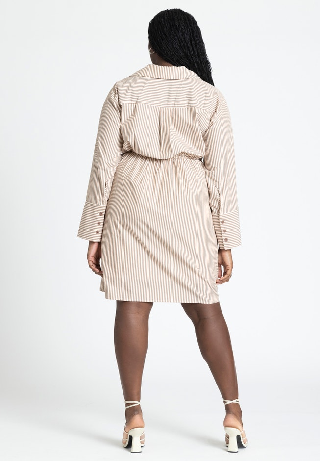 Asym Striped Shirt Dress image number null