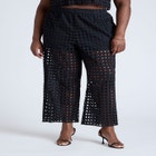 Sheer Eyelet Pant image number null