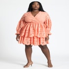 Eyelet Flare Mini Dress image number null