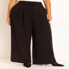 Pleat Front Wide Leg Trouser image number null