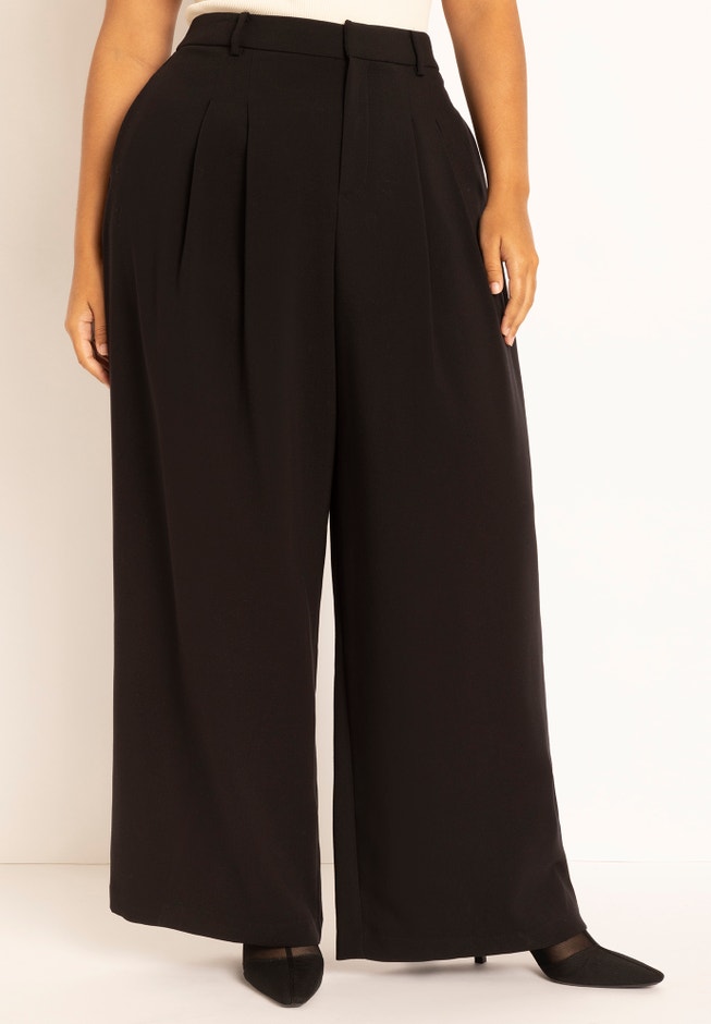 Pleat Front Wide Leg Trouser image number 1