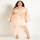 Sheer Dress image number null