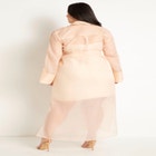 Sheer Dress image number null