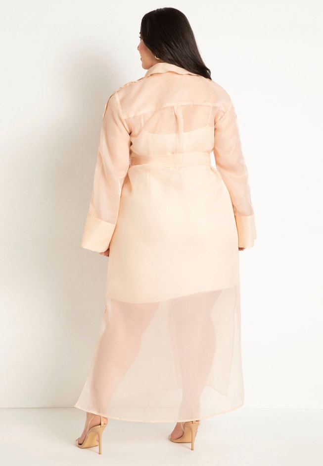 Sheer Dress image number 2