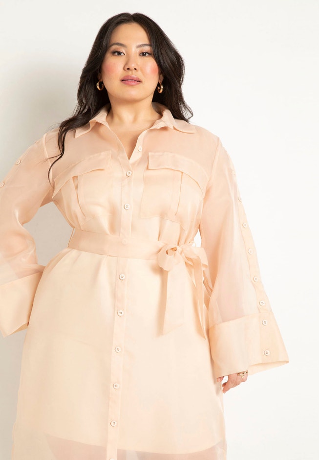 Sheer Dress image number 3