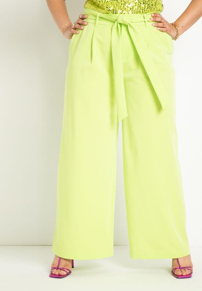Pleated Tie Waist Wide Leg Trouser image number null