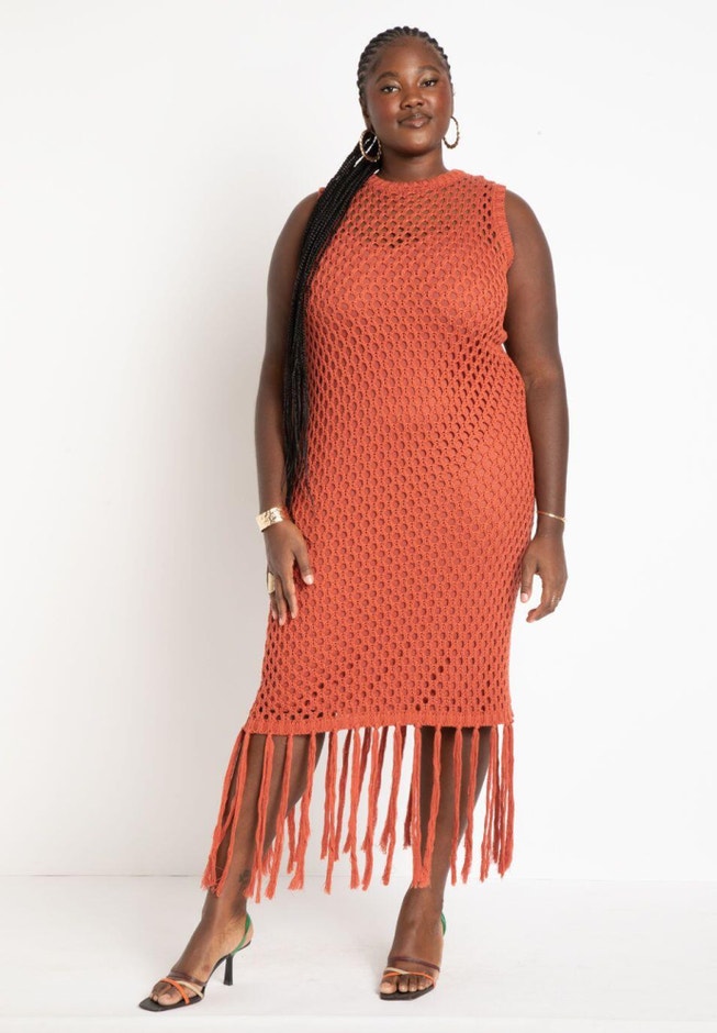 Netting Dress With Fringe Hem image number null