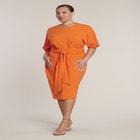 Cross Front Flutter Sleeve Dress image number null