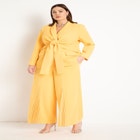 Tie Waist Blazer with Shawl Lapel image number null