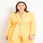 Tie Waist Blazer with Shawl Lapel image number null