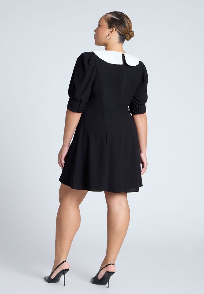 Contrast Collar Mini Dress image number null