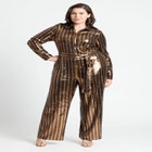 Stripe Sequin Jumpsuit image number null