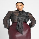 Sheer Lurex Blouse image number null