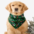 Pet Scarf image number null