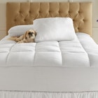 Gel Touch Bed Tite&trade; Topper image number null