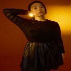 Sheer Stripe Top image number null