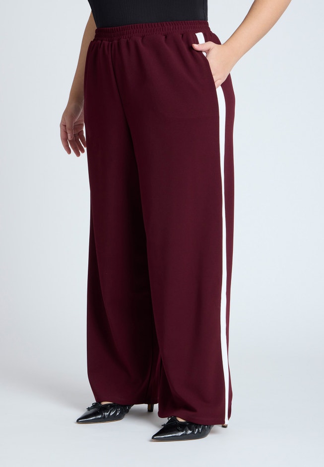 Track Pant With Side Stripe image number 1