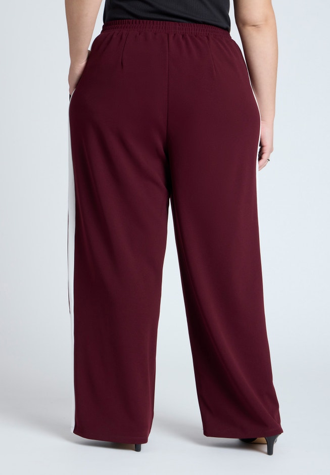 Track Pant With Side Stripe image number 2