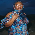 Barkwood x ELOQUII Scarf Maxi Dress With Embellishments image number null