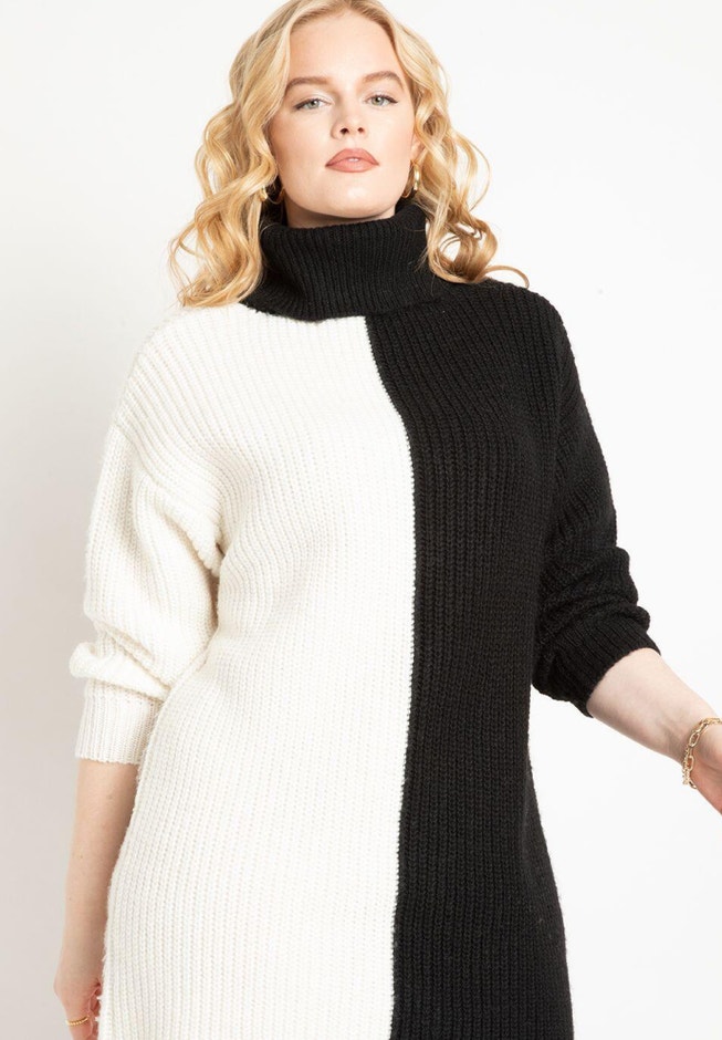 Turtle Neck Tunic Sweater Dress image number 1