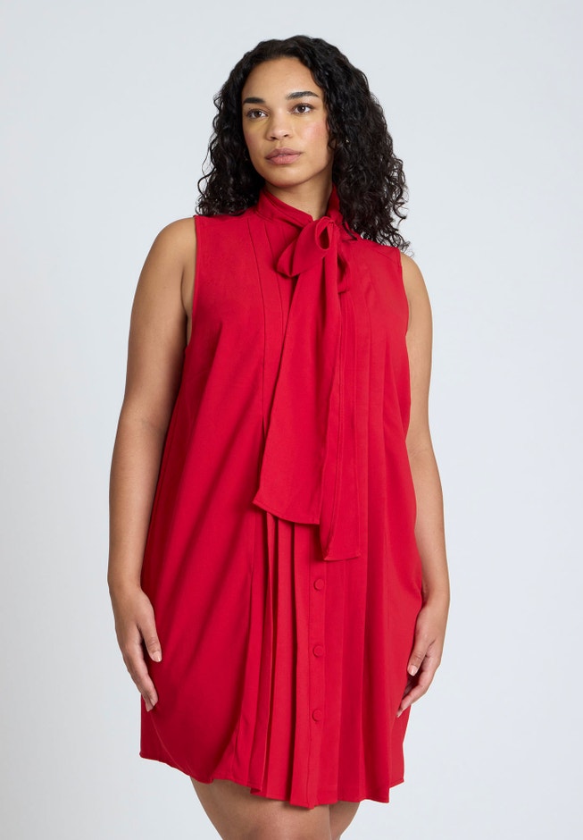 Pleated Bow Neck Mini Dress image number 2