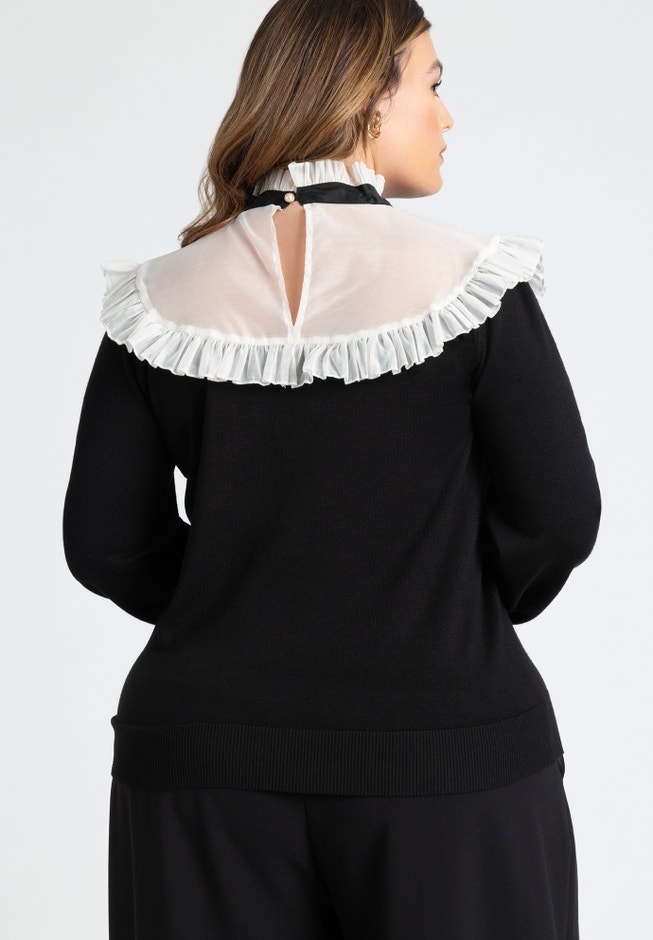 Sheer Yoke Sweater With Tie Neck image number 1