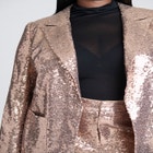 Sequin Blazer image number null
