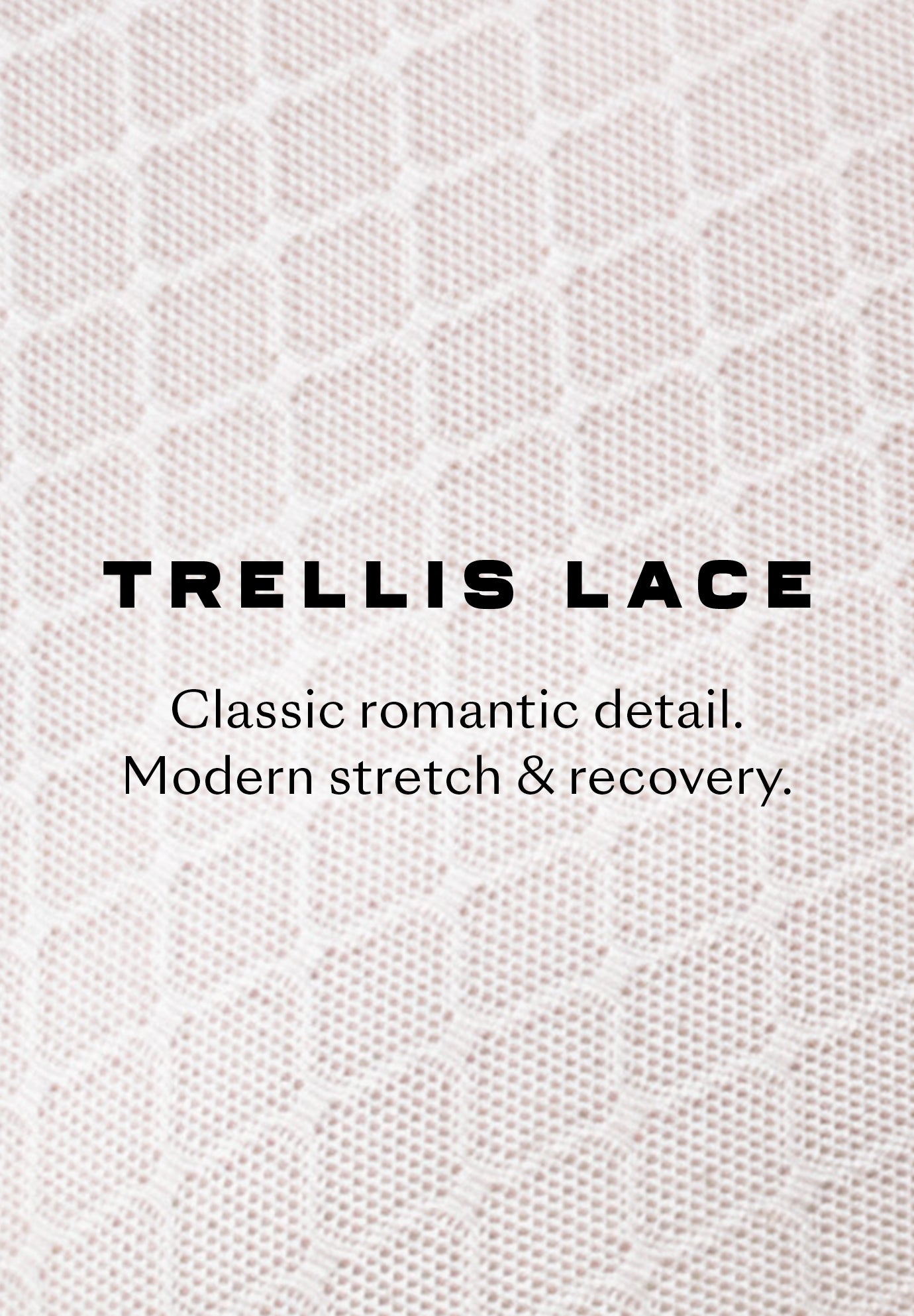 The Bikini- Trellis Lace image number 10