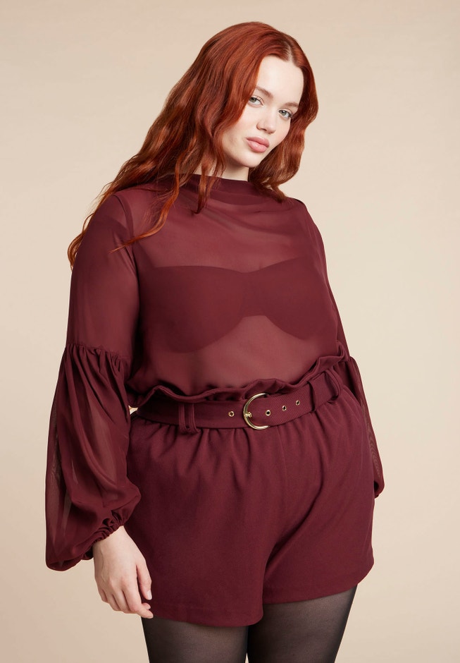 Sheer Balloon Sleeve Blouse image number 0