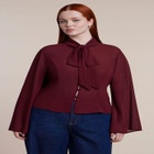 Tie-Neck Sheer Top image number 0