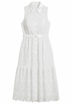 Lace Dress With Buttons & Collar | ELOQUII