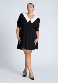 Contrast Collar Mini Dress