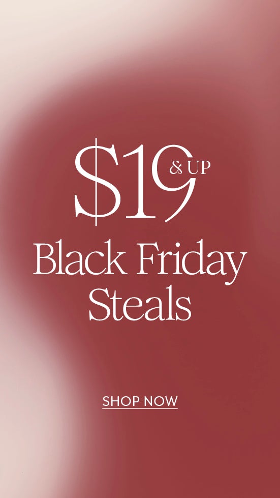 $19 & Up Black Friday Steals